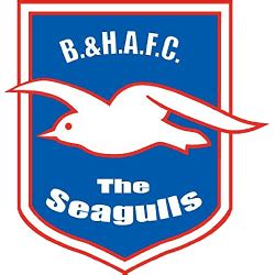 Brighton Fc Logo - Brighton Hove Albion F C Wallpapers Wallpaper Cave / Barnestormer bags the ...