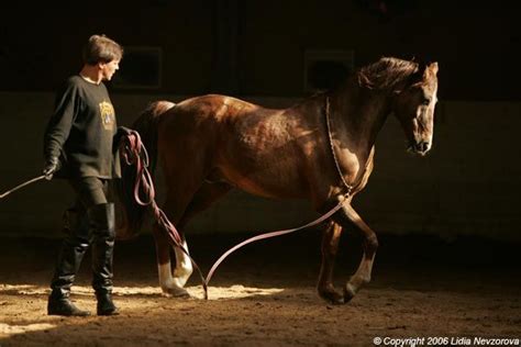 We did not find results for: Lydia Nevzorova's Photography | Лошади, Любовь лошадей ...