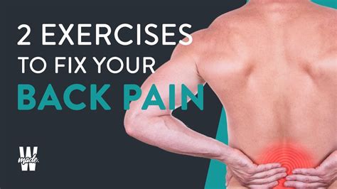 2 Exercises To Fix Back Pain Youtube