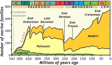 Mass Extinctions Historical Geology