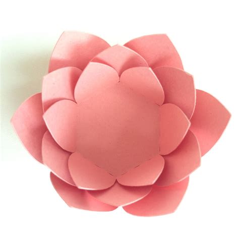 A Large Pink Flower Is Shown On A White Background With The Petals