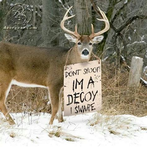 Hunting Quotes Funny Hunting Humor Hunting Quotes