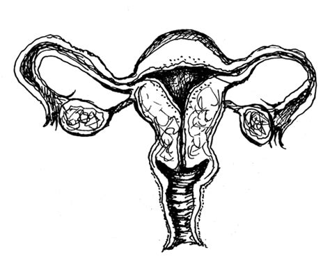 Uterus Coloring Pages Coloring Pages