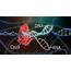 CRISPR/Cas9 Mediated Gene Knockout  Protocol OneLab