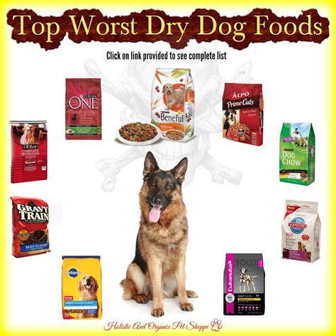 What dog foods are the best to buy. Pin on Holistic and Organix Pet Shoppe