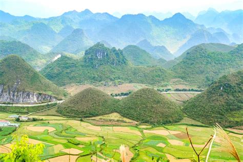 Bac Son Valley With Rice Field In Harvest Time Lang Son Province