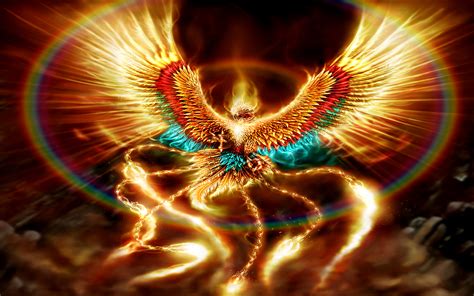 50 Fantasy Phoenix Hd Wallpapers And Backgrounds