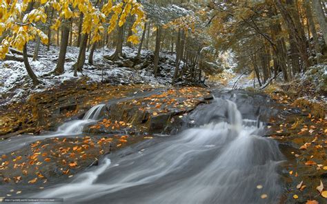 Download Wallpaper Nature Late Autumn River Forest Free Desktop