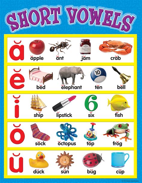 Short Vowel Words For Kindergarten