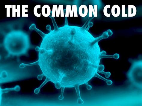 Psychotherapy And The Cure For The Common Cold