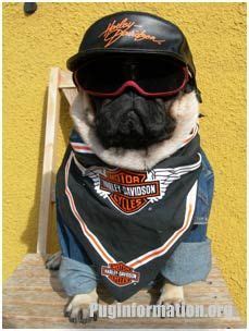 There are less incidence for cars changing lanes into you. Looking for adventure out on the highway... I would do ...