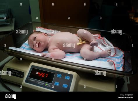 A Newborn Baby Weighs In On A Hospital Scale Shortly After Birth Stock Photo Alamy