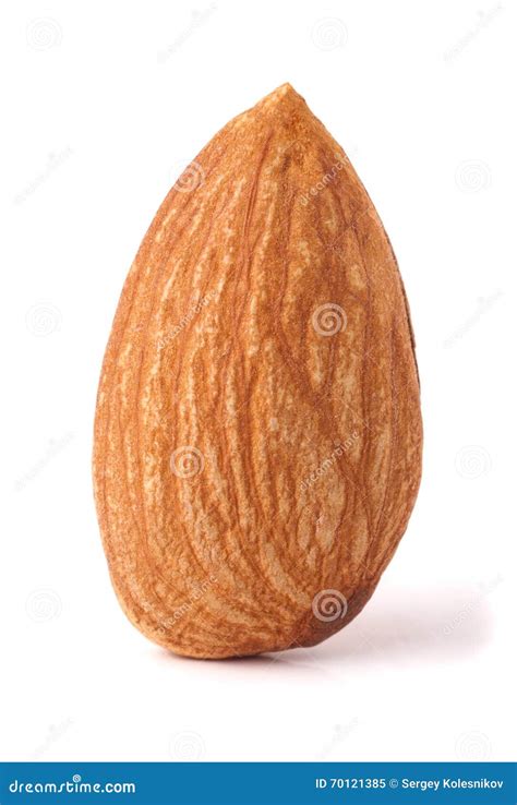 One Almond Nut Isolated On White Background Close Up Macro Stock Image