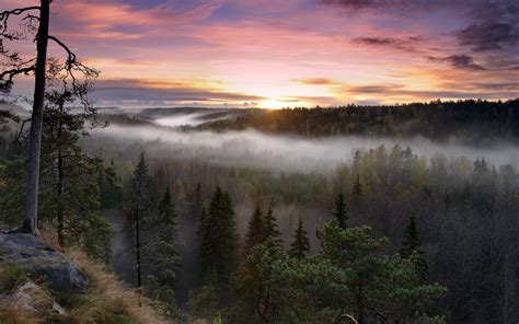 Nature Landscape Sunrise Forest Mist Fall Sky Clouds Trees