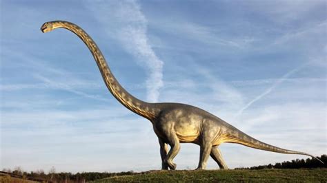 Wielkie Dinozaury Składały Malutkie Jaja Nauka W Polsce