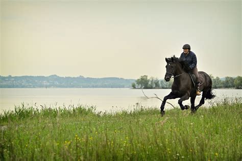 Nachdem ein schatz von 273 goldmünzen aus dem bodensee geborgen war, wurde der finder, florian friedrichs, . Die Toten vom Bodensee: Der Blutritt | Film-Rezensionen.de