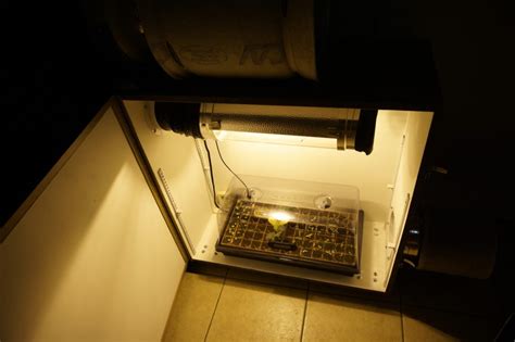 Grow cabinets are perfect if you have limited space as you'll still be able to get an impressive yield out of it. Small DIY Grow Cabinet - ESCTHENET