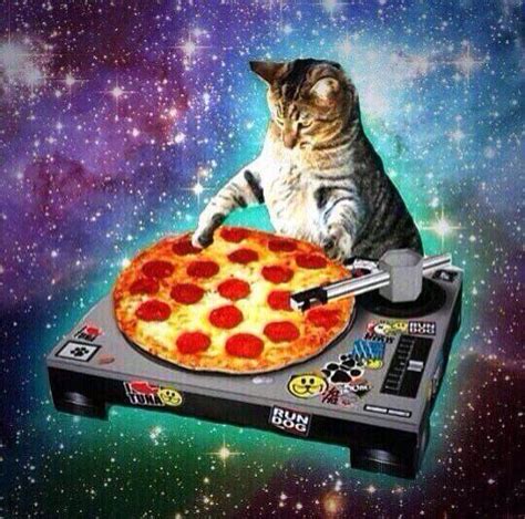 Pizza Space Cat Meme Cat Planet Cat Planet