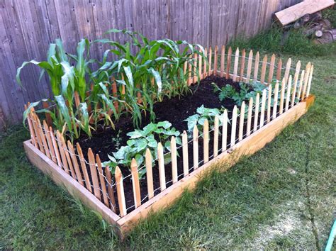 Added a cute fence to my garden. Thanks Lowes! | Jardim com pergolado