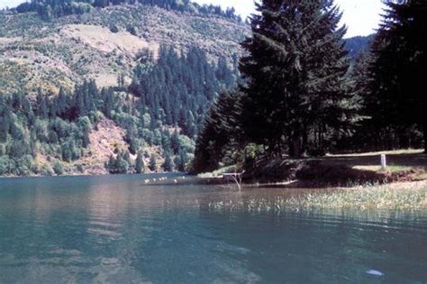 Its waterfalls, cascades, sparkling streams, gorges, forests, and cave features make it one of the most visited natural areas and state parks in the southeast. Camping at Fall Creek State Recreation Area, OR