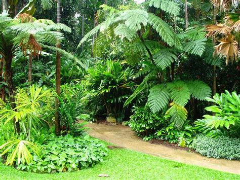Flecker Botanic Gardens Cairns Queensland Australia Tropical