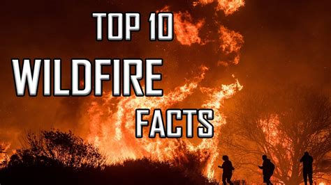Top 10 Wildfire Facts Youtube