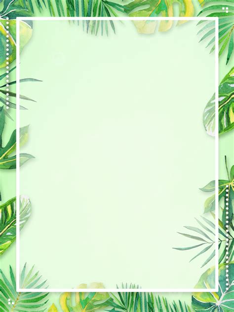 Summer Green Leaf Background Leaves Hd Wallpaper Image For Free