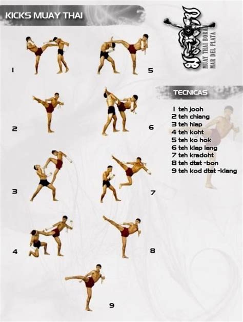 Muay Thai America Fight Training Muay Thai Training Mma Training