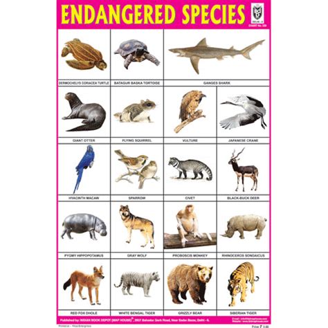 Endangered Species Size 24 X 36 Cms Chart No 238