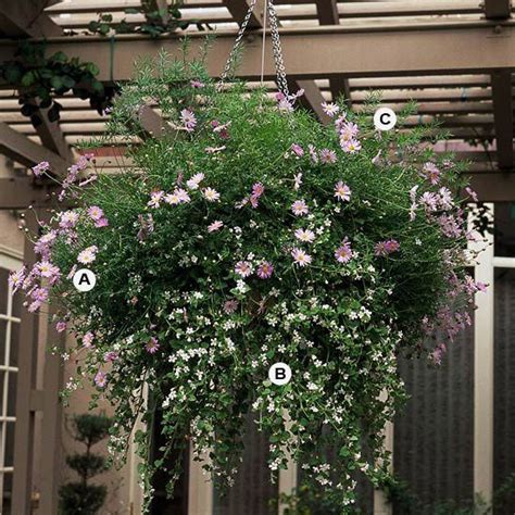 Check spelling or type a new query. Pin on Landscaping