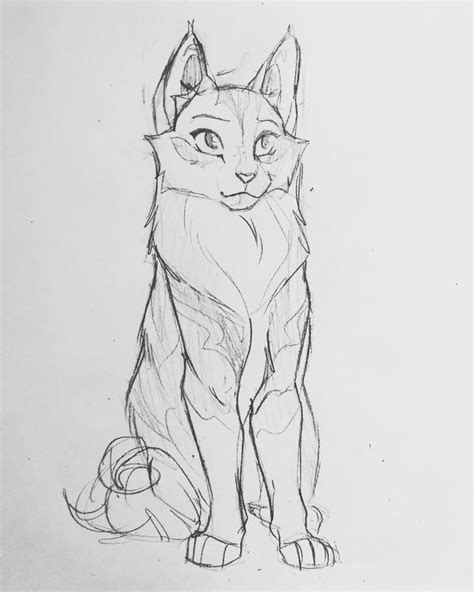 Art Blog Mostly Cats Warrior Cat Drawings Cat Sketch Cat Drawing