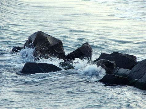 Rocks In The Sea Free Photo Download Freeimages