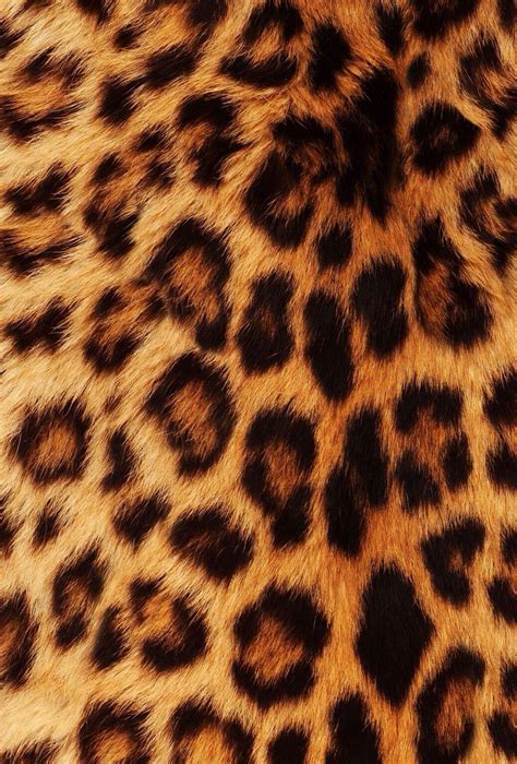 Cheetah Print Wallpapers Wallpaper Cave