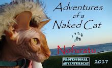 Adventures Of A Naked Cat Nofuratu S Beauty Secrets