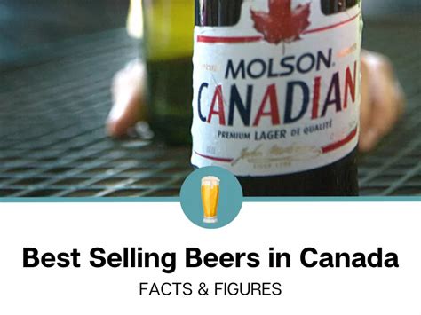 Top 10 Best Selling Beers In Canada 2024