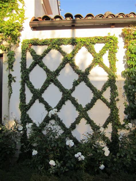 Landscape Ideas Small Space Solutions Espaliered Trees And Vines