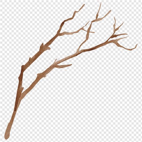 Premium Psd Stick Tree Branch Isolated Png Clipart Wood Twig