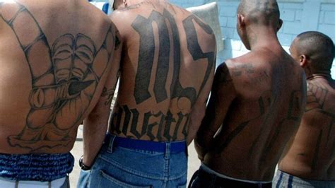 11 Alleged Ms 13 Members Arrested For Sex Trafficking 13 Year Old Girl