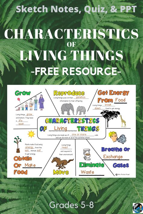 Characteristics Of Living Things Notes Quiz And Ppt Characteristics