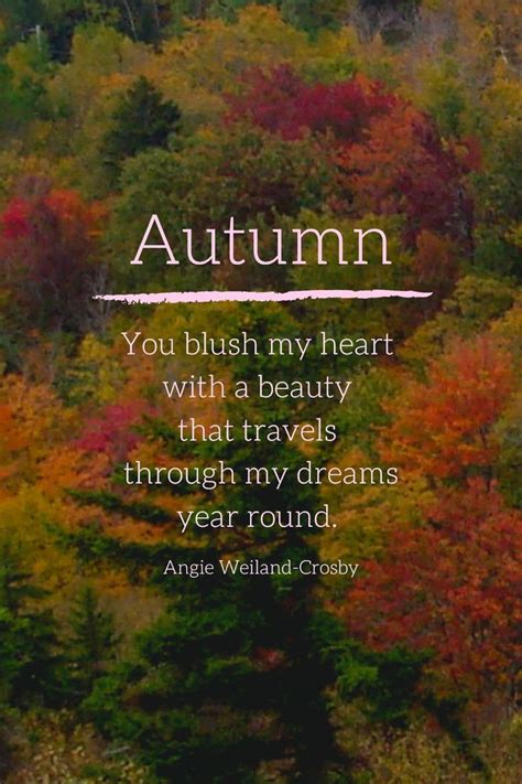 90 Fall Quotes And Autumn Quotes To Enchant The Soul Autumn Quotes