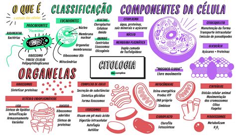 Mapa Mental Citologia C Lula Organelas Componentes Da C Lula Biologia