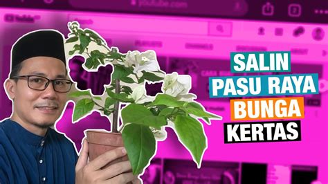 Bunga bunga is a phrase of uncertain origin and various meanings that dates from 1910, and a name for an area of australia dating from 1852. Salin pasu Raya pokok bunga Kertas - YouTube