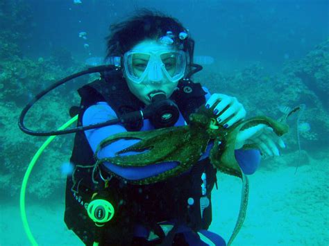 Best Diving Hawaii Scuba Dive Sites Hawaii