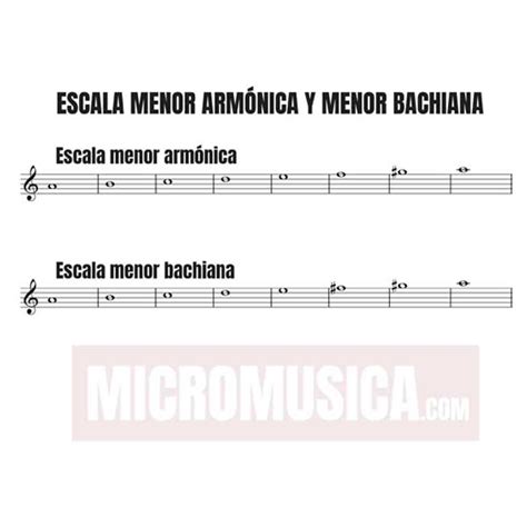Micromusica Escalas Musicales Lo Que Todo Musico Debe Aprender Para