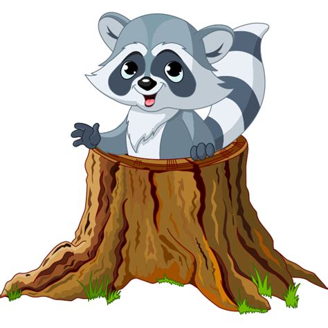 Tree Stump Raccoon Cute Animals Cute Animals Images Raccoon Drawing