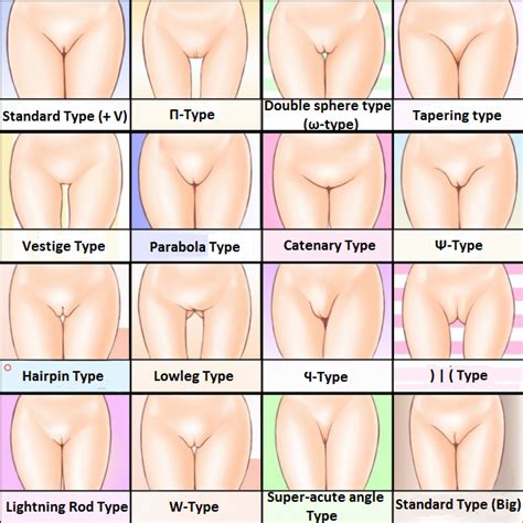 Rule 34 Chart Crotch Hard Translated Innie Pussy Mound Of Venus Pussy Pussy Chart Thigh Gap