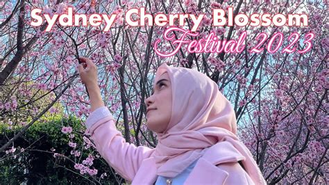 Sydney Cherry Blossom Festival 2023 YouTube