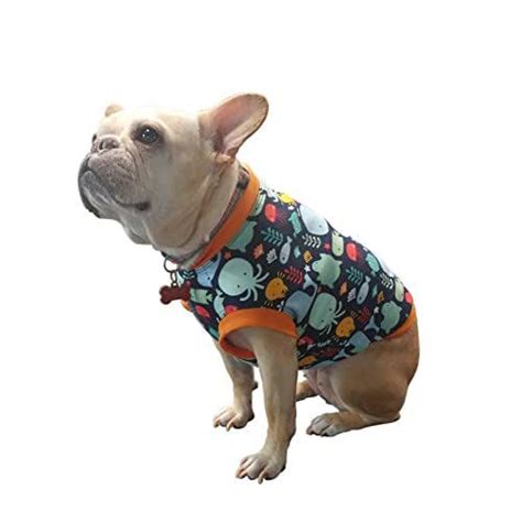 As an amazon associate i earn from qualifying purchases. Frenchie Fit - Clothes For Your French Bulldog | Amazon ...