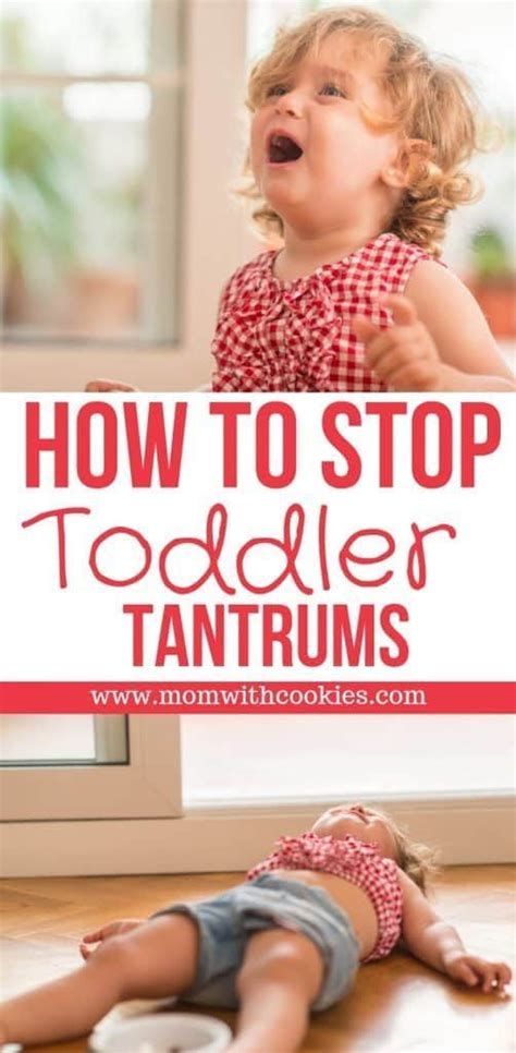 Toddler Temper Tantrums In 2020 Tantrums Toddler Toddler Behavior