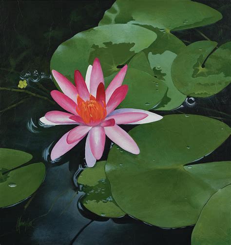 Lily Pad Bloom Painting By Gaylon Dingler